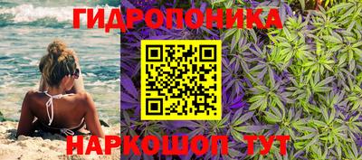 дживик Дубна