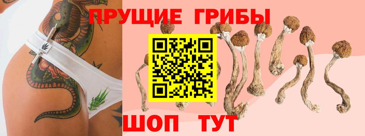 Галлюциногенные грибы Cubensis  Вход с VPN  Медногорск 